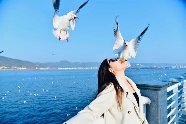 Tour Trung Quốc: Đại Lý - Lệ Giang - Côn Minh 5 ngày 5 đêm từ Hà Nội (No Shopping) - Nghỉ lễ 30/4 - 1/5