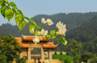 PYS Travel tổ chức lễ cầu an tại Thiền viện An Tâm