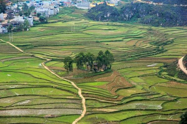 Bồng bềnh Đồn Cao nơi ngắm cảnh lý tưởng nhất cao nguyên đá Đồng Văn