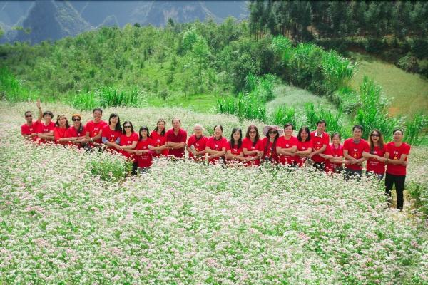 Lễ hội hoa tam giác mạch 2016 được tổ chức vào tháng 10