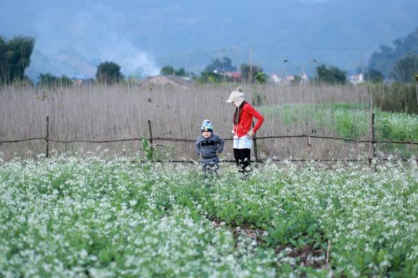 3 điểm du lịch miền Bắc gây cơn sốt dịp nghỉ lễ Tết dương lịch 2016