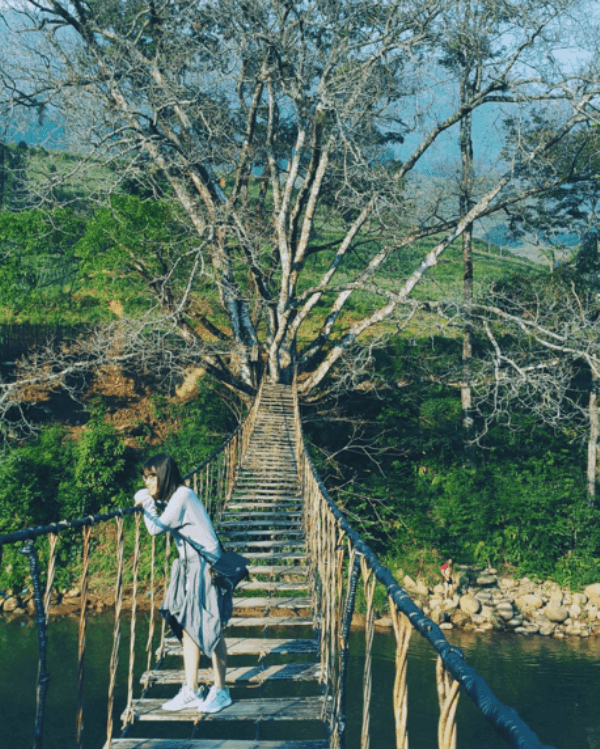 Ảnh du lịch