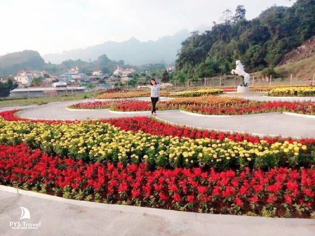 Ảnh du lịch