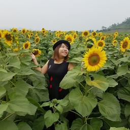 Hoàng Thu Trang