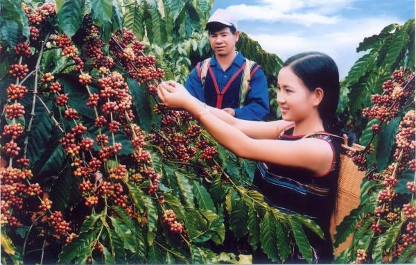 Cập nhật lịch diễn ra lễ hội cà phê Buôn Ma Thuột 2017