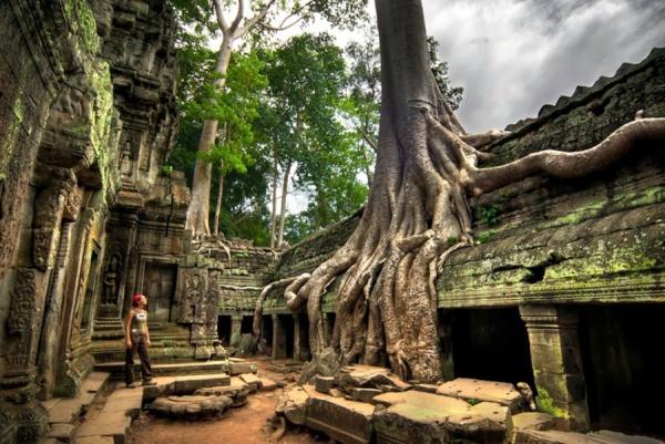 Ngôi đền Ta Prohm và câu chuyện về sự ngự trị của những rễ cây bí ẩn kỳ dị