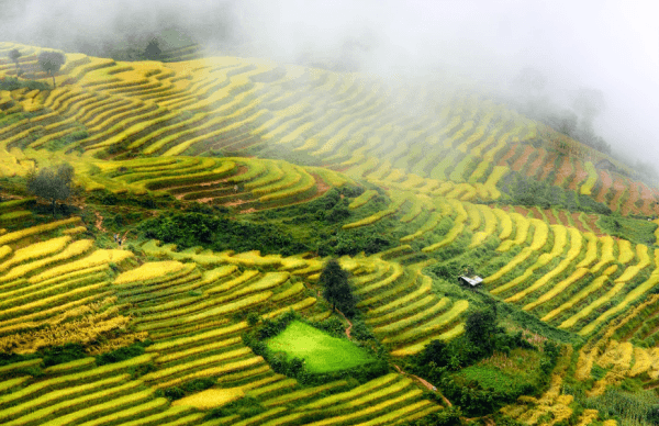 Ảnh du lịch