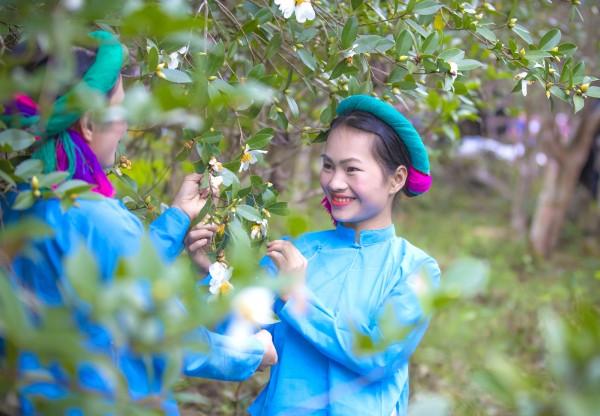 Đắm mình vào ‘mùa xuân trên nẻo cao’ với Lễ hội Hoa Sở Bình Liêu