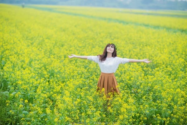 Tour Hà Nội - Vườn hoa cải Hồng Lý - Thái Bình - Đền Trần Nam Định 1 ngày