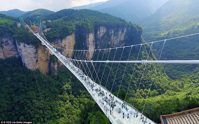 Cầu kính Trương Gia Giới có thực sự là thử thách mạo hiểm nhất thế giới?