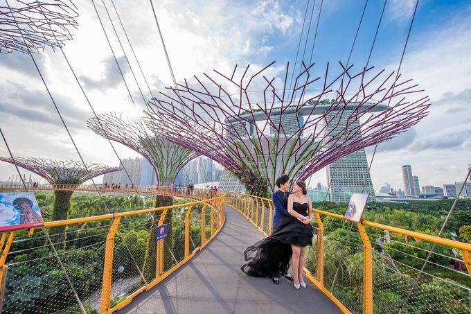 Kinh nghiệm đi khu vườn Gardens by the bay – Singapore. Lưu ngay kẻo lỡ