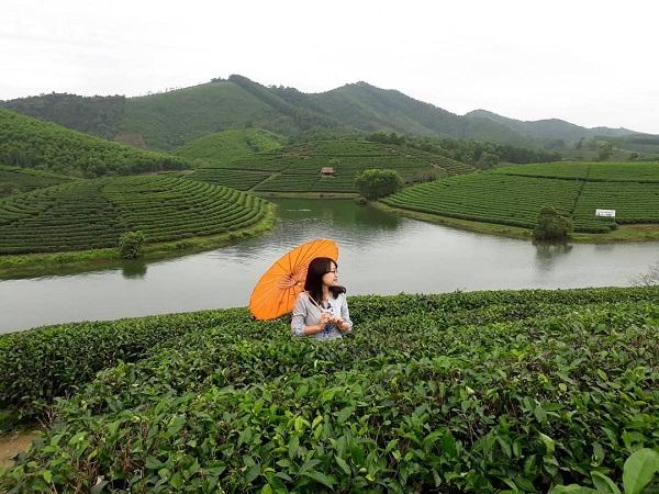 Tạm quên Mộc Châu đi - Ốc đảo chè Thanh  Chương đang đẹp ngất ngây kia kìa
