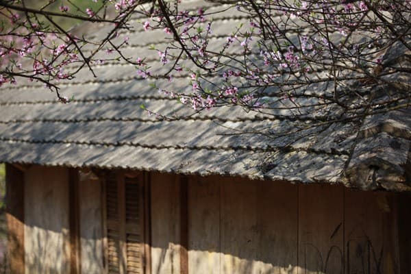 du lịch mộc châu