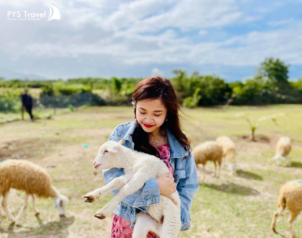 checkin tại đồng cừu hòa an