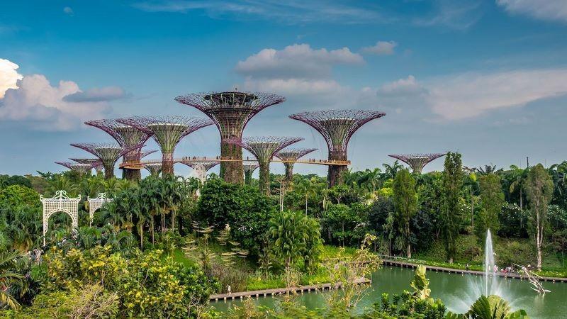 gardens by the bay