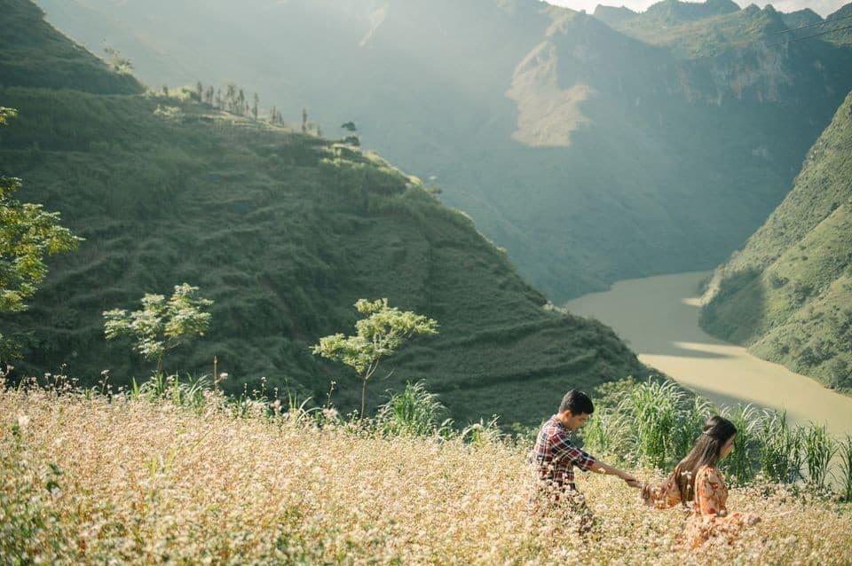 chân đèo mã pí lèng hà giang mùa hoa