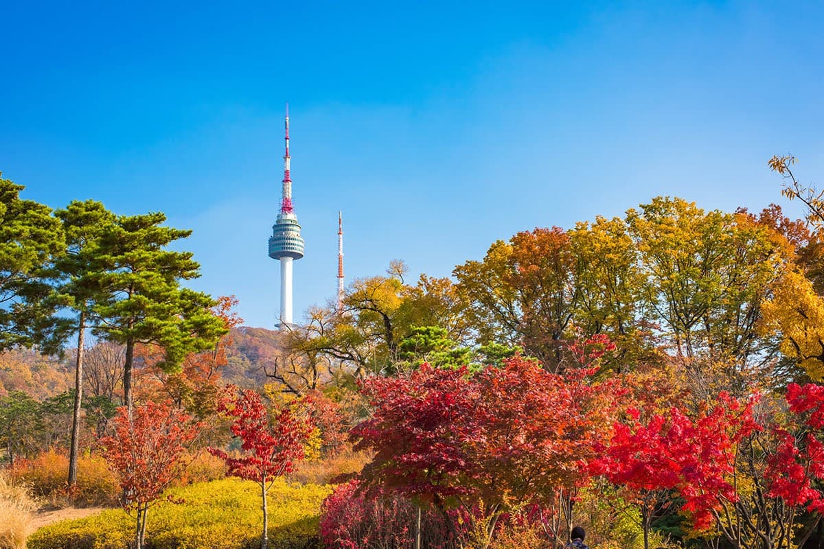 công viên namsan mùa thu