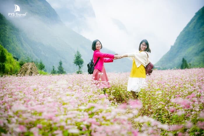 hoạt động lễ hội hoa tam giác mạch ở sapa