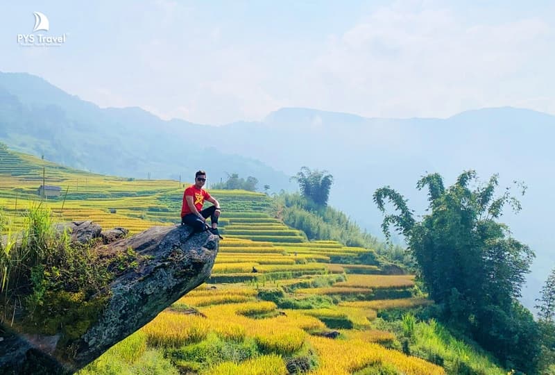 Ngải Thầu