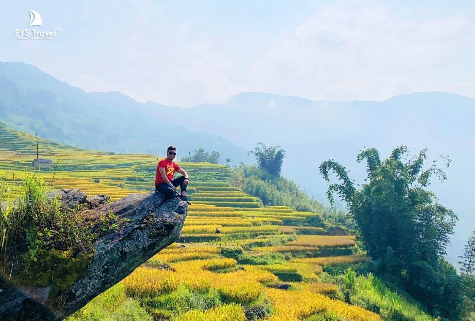 Ngải Thầu Y Tý