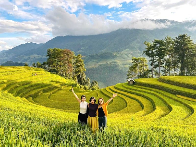 Đoàn PYS Travel chụp ảnh mùa vàng Mù Cang Chải