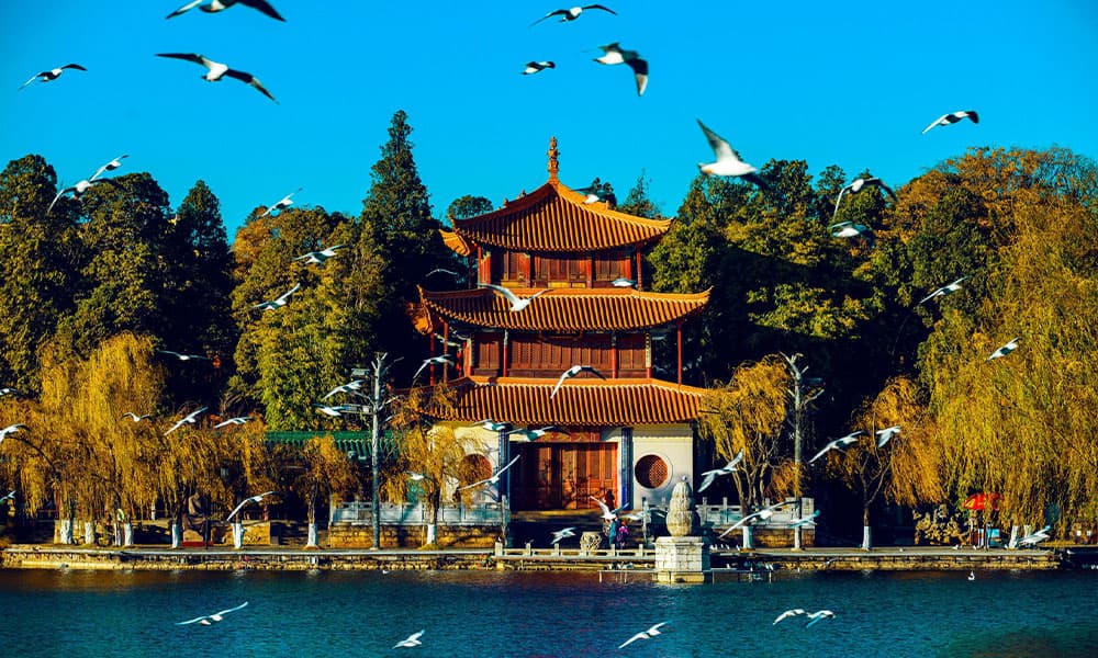 cong-vien-dai-quan-1-1.jpg