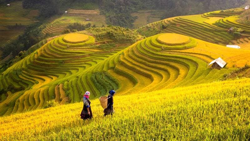 Tour-Mu-Cang-Chai-PYSTravel40.jpg