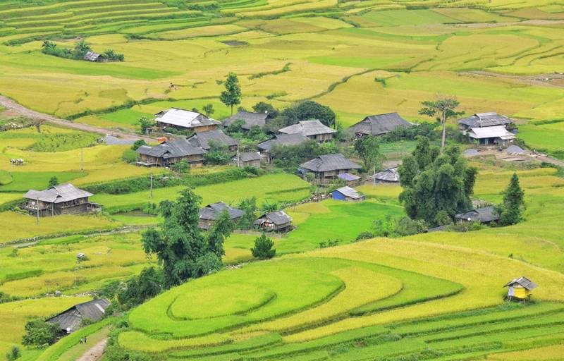Tour-Mu-Cang-Chai-PYSTravel32.jpg