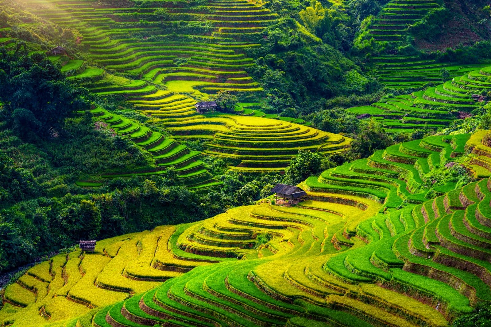 Tour-Mu-Cang-Chai-PYSTravel50.jpg