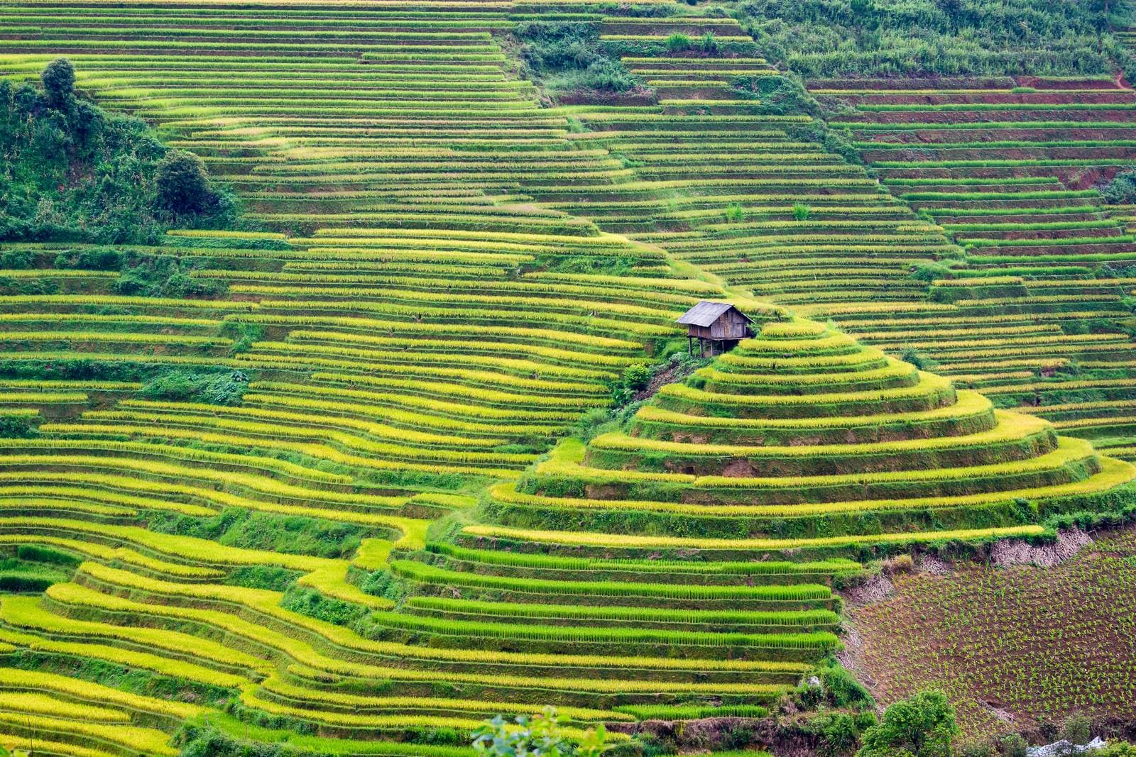 Tour-Mu-Cang-Chai-PYSTravel114.jpg