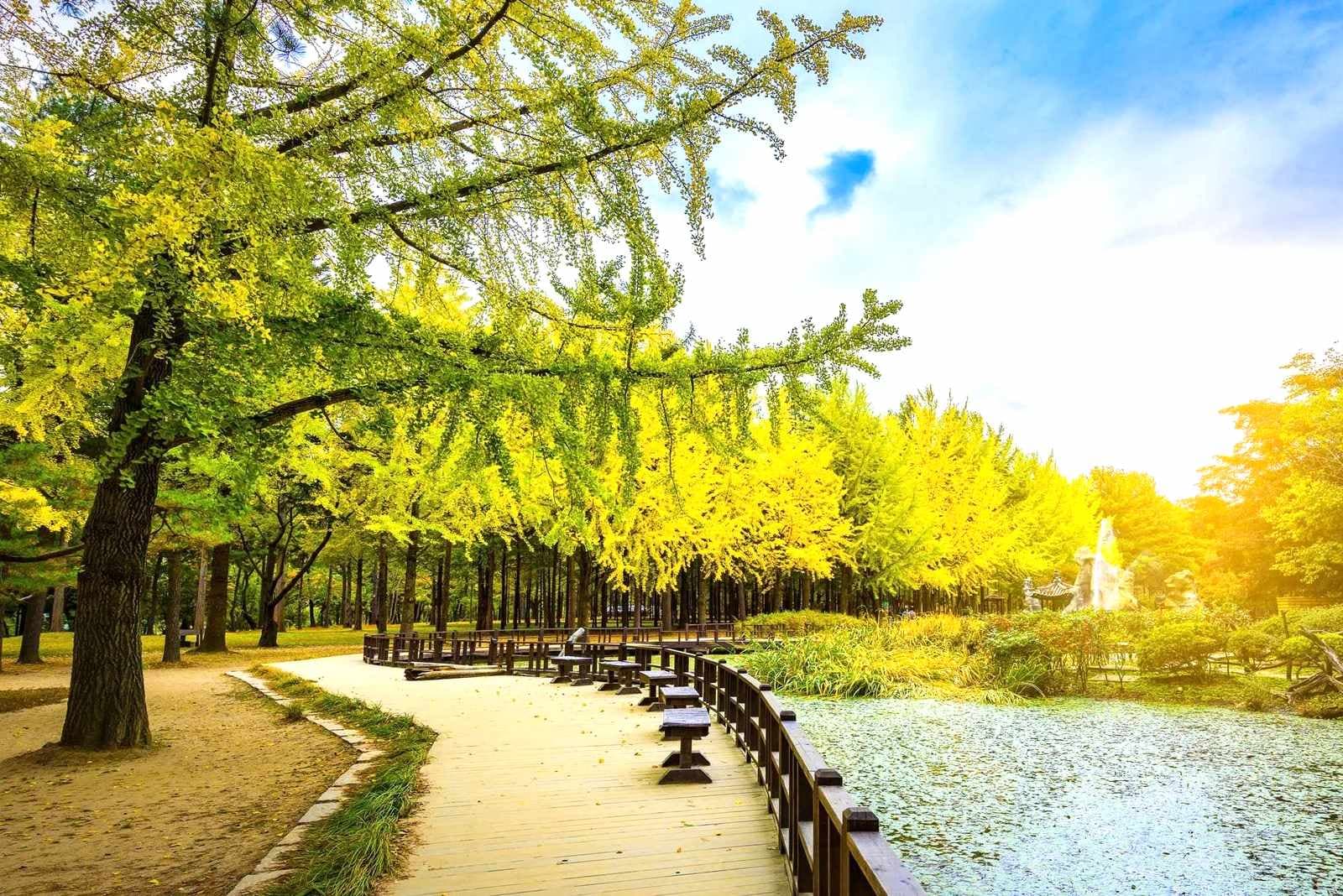 tour-han-quoc-5.jpg