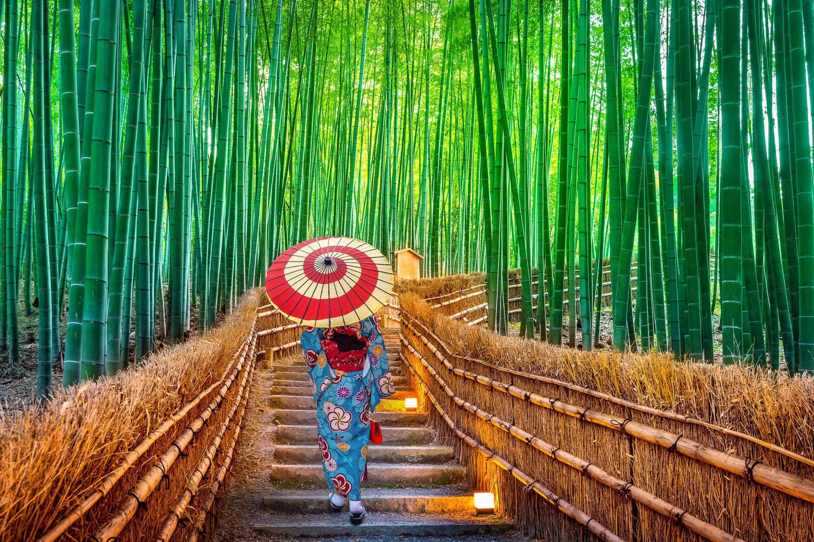 Rừng tre Arashiyama