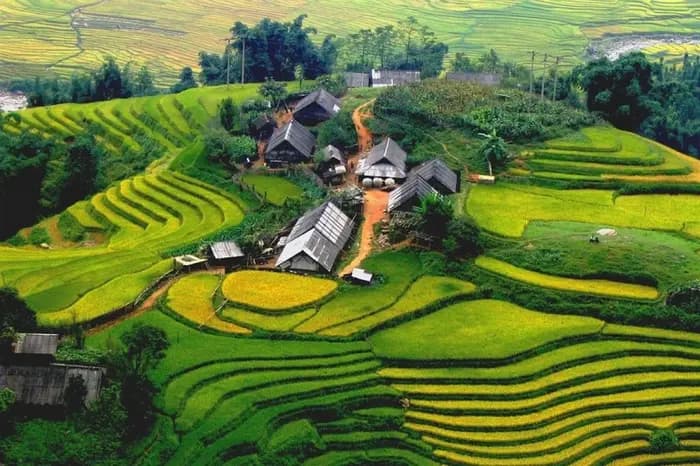 ruong-bac-thang.webp