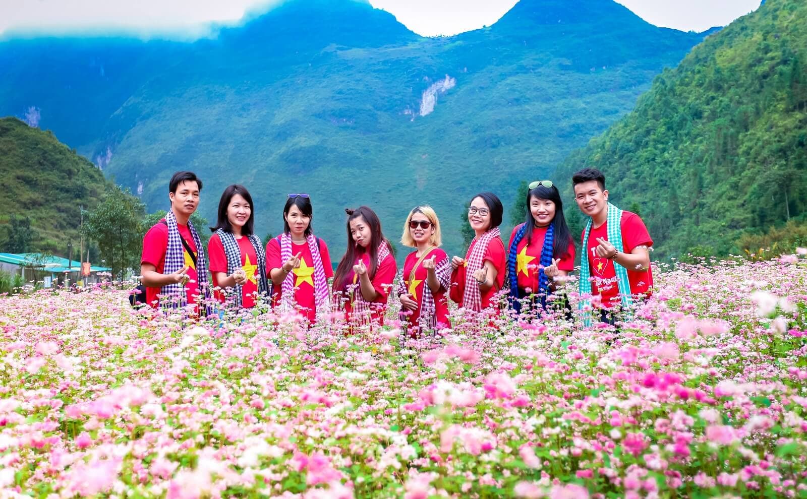 Du khách tham quan cánh đồng hoa tam giác mạch tại Hà Giang