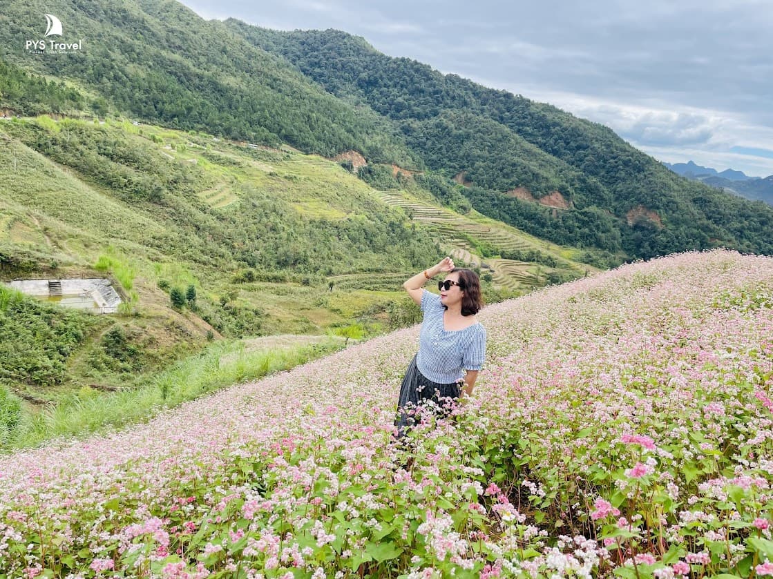Du khách checkin Hà giang mùa tam giác mạch