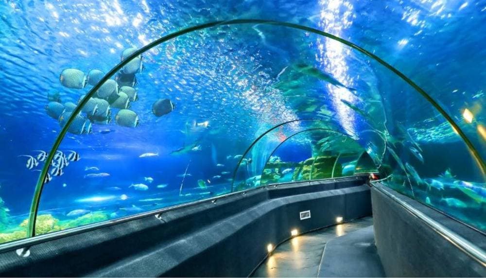 vien-hai-duong-hoc-nha-trang-2.jpg