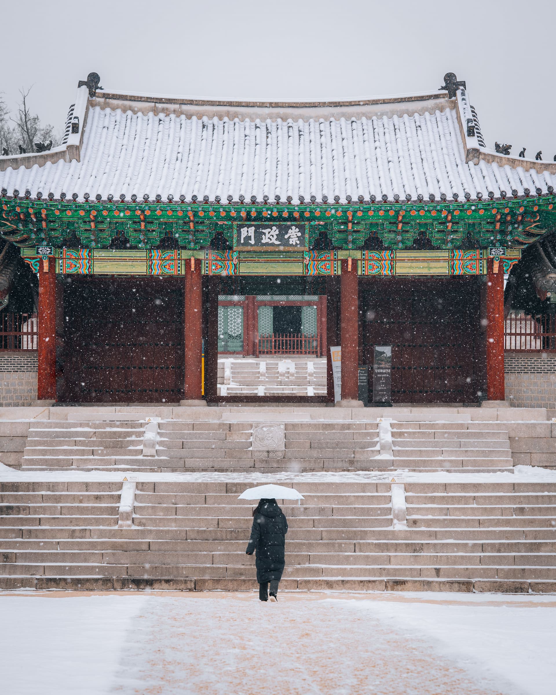 pexels-jakobjin-15376847.jpg