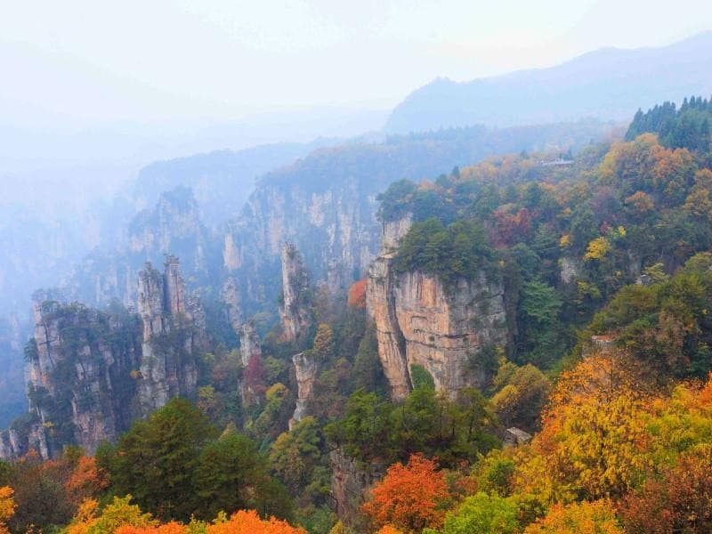 trương-gia-gioi.jpg