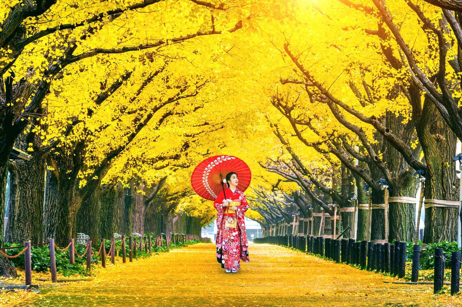 tour-nhat-ban-mua-thu-15.jpg