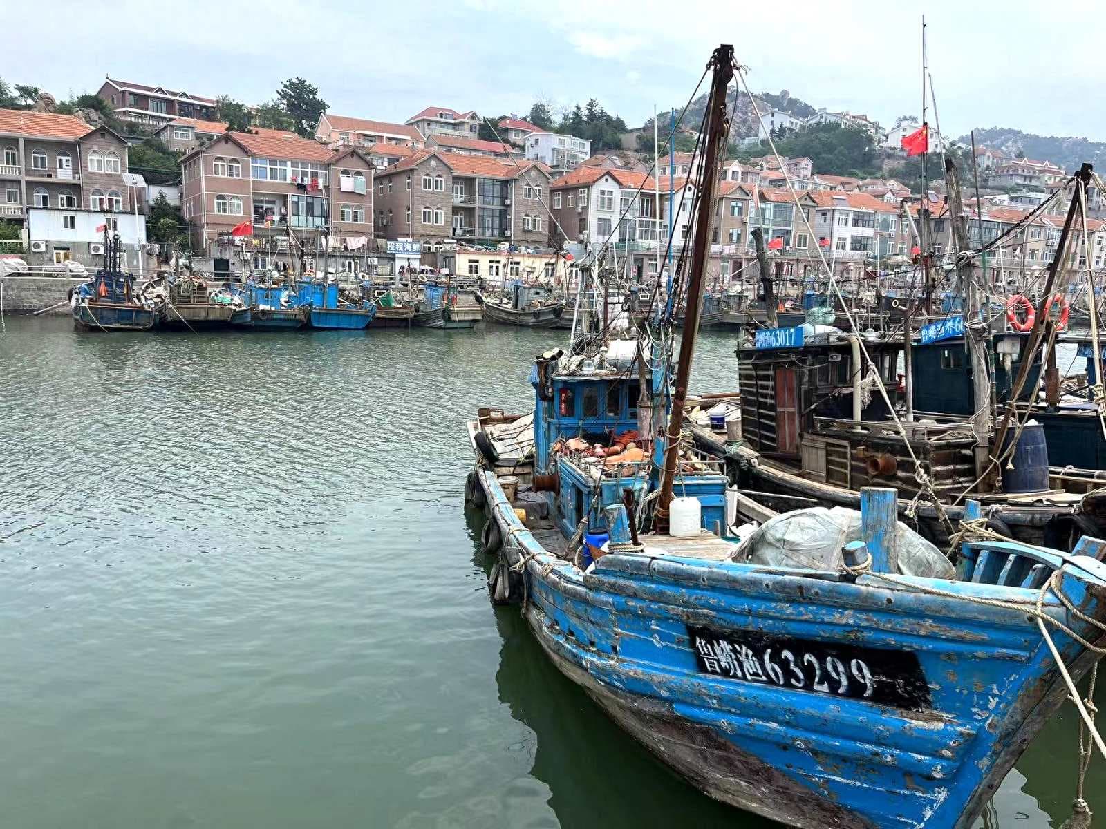 tour-thanh-dao-7.jpeg