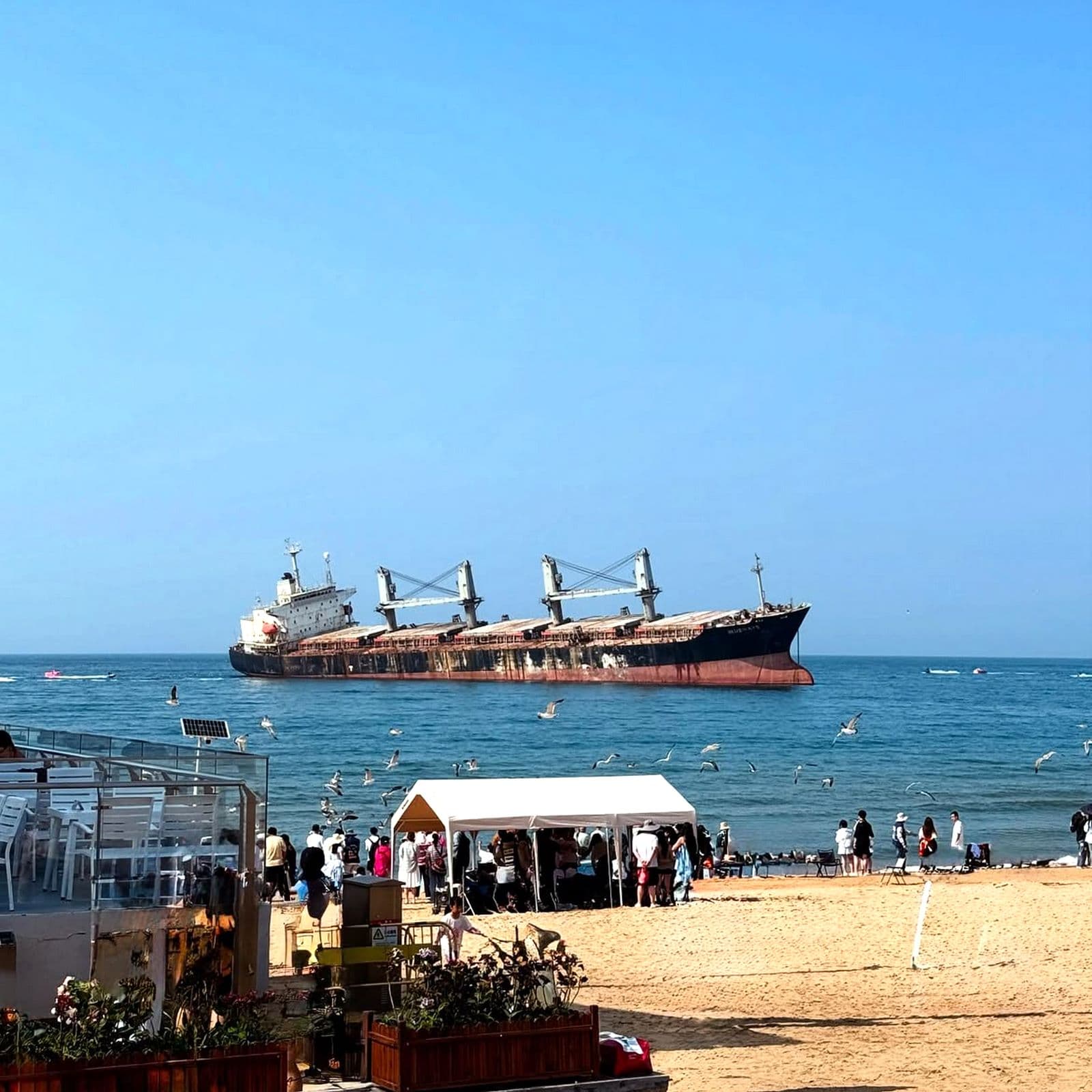 tour-thanh-dao-9.jpg