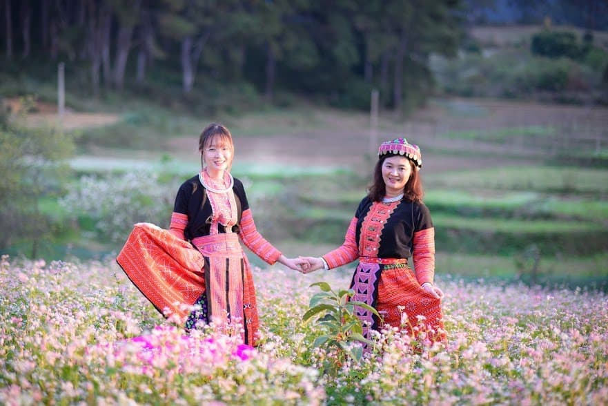 Du lịch mùa hoa tháng 11