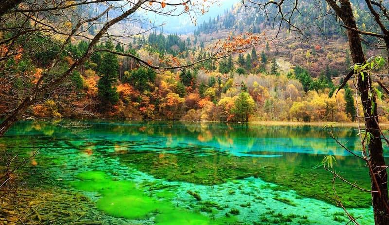 cuu-trai-cau-mua-dong-pystravel-29.jpg