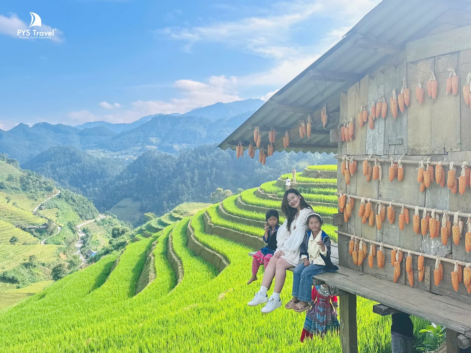 Cập nhật lúa tại mù cang chải