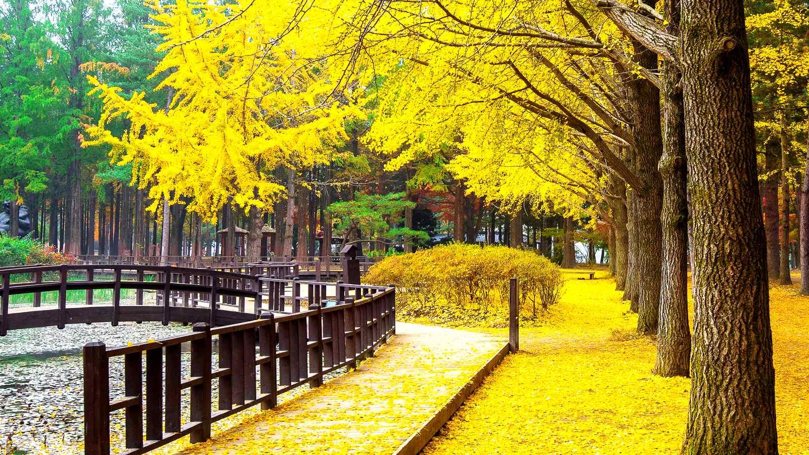 tour-du-lich-han-quoc-2.jpg