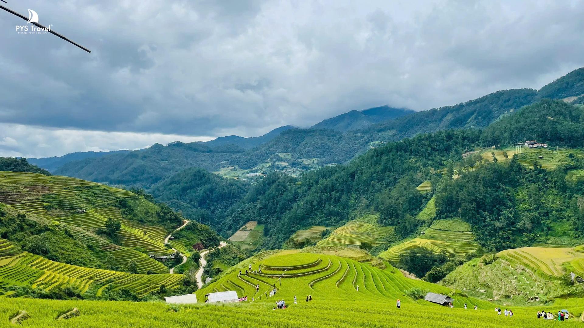 mù cang chải 