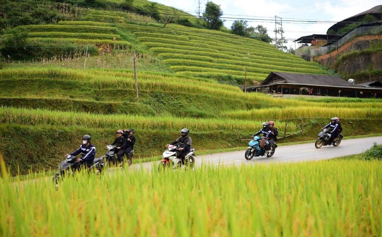 Những cung đường trải dài lúa chín khi đi phượt.jpeg