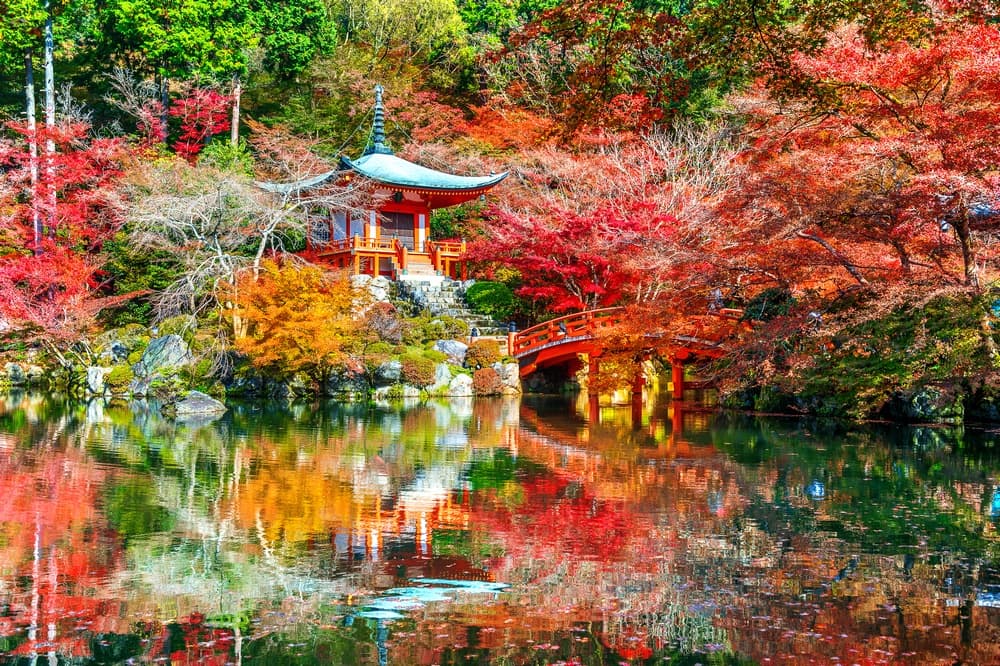 Mùa thu Kyoto