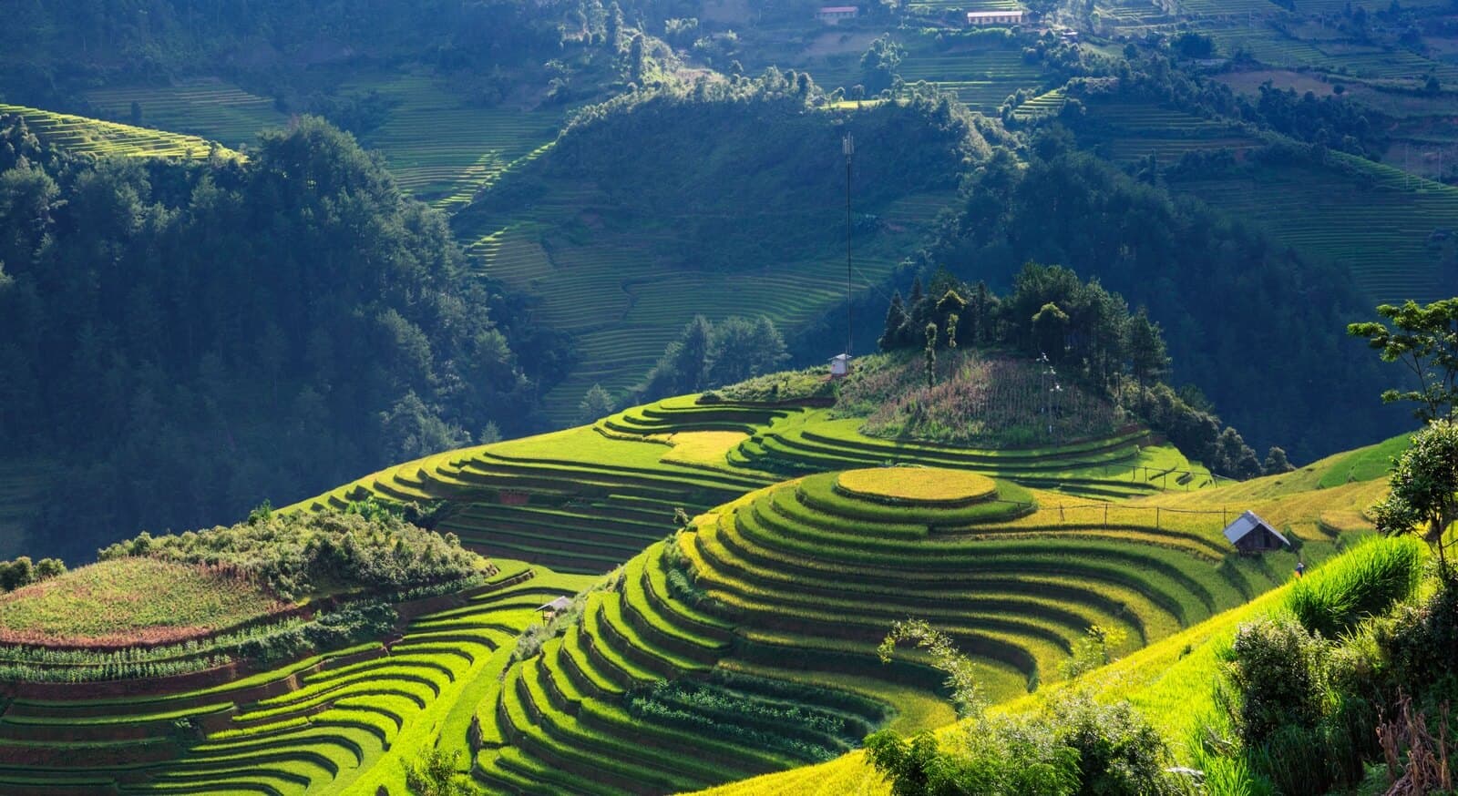 Ruộng bậc thang Mù Cang Chải