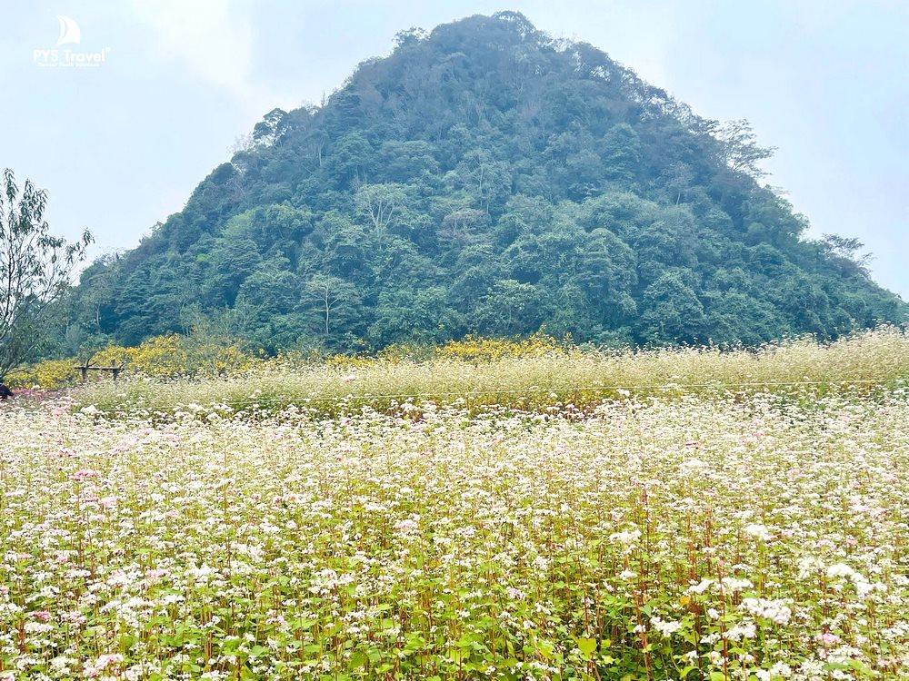 tam-giac-mach-ha-giang-13.jpg